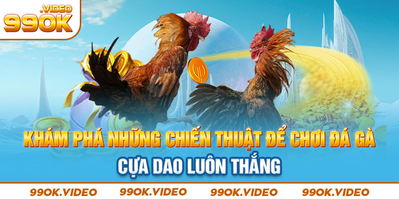 Khám phá những chiến thuật để chơi đá gà cựa dao luôn thắng