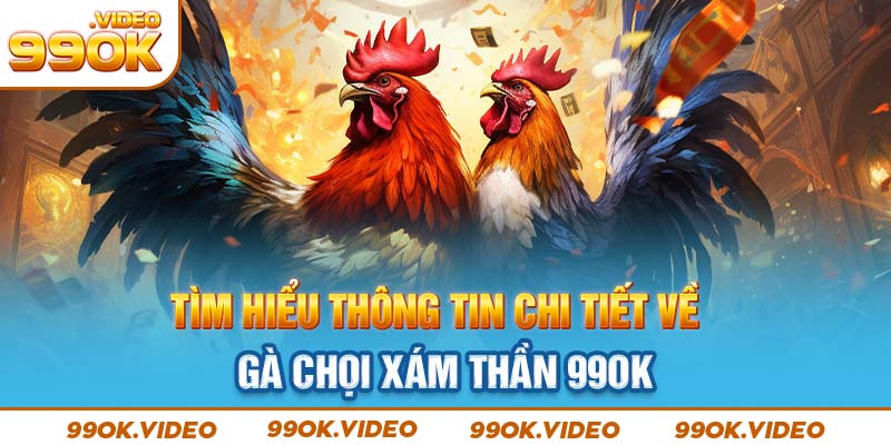 Tìm hiểu thông tin chi tiết về gà chọi xám thần 99OK