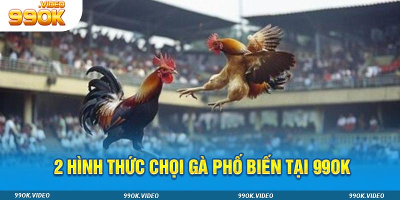 2 hình thức chọi gà phổ biến tại 99ok