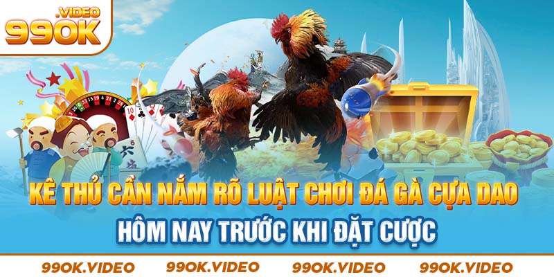 Kê thủ cần nắm rõ luật chơi đá gà cựa dao hôm nay trước khi xuống tiền