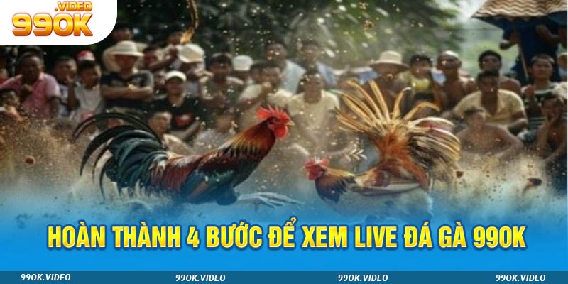 Hoàn thành 4 bước để xem live đá gà 99ok